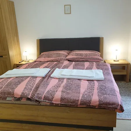 Apartmaji Pri Medvedu Rudnica בוהין