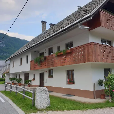 Apartmaji Pri Medvedu Rudnica דירה *